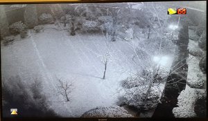 164BE1E4-F2E3-47F8-BCF5-E99B3877B1C5.jpeg