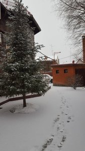 6DE4C2F0-730C-40A5-B83D-65A2B7B4562C.jpeg