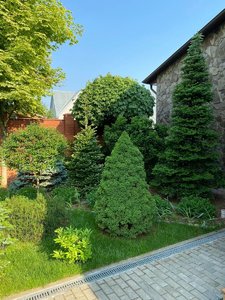 203027A1-486E-4D2E-BB3A-880AD5F8E508.jpeg