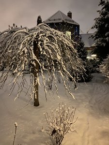 3008A984-E39C-4AC6-BD64-C6D2A09412EB.jpeg