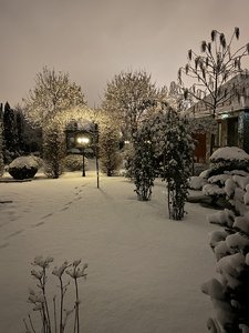 F5921217-4753-4DDF-B0B7-B99118BCDADC.jpeg