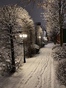 11595E42-20E4-4E1F-84F5-29A9C4633346.jpeg