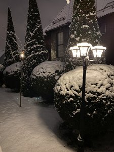 A03121ED-F60A-4CB3-9988-864C9B4C7403.jpeg