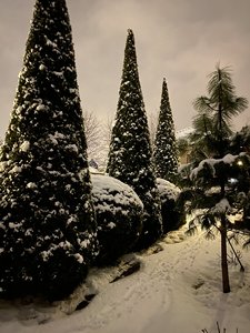 7461851F-61A3-4BDF-9C86-C7073E1B977F.jpeg