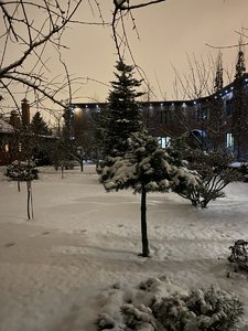 F8A00681-FD69-4CB6-AEFF-EB7320F6841F.jpeg