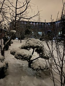 7DB82FA9-4724-4B10-B6A1-6CBCB816B17E.jpeg