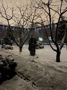 24A7F535-C2A1-412B-A3C7-A5C01074B698.jpeg