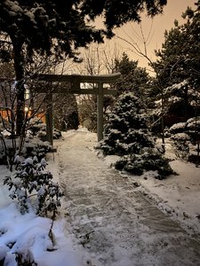 67C015BD-C94C-42D0-9721-7B417FDB29AB.jpeg