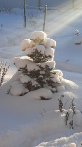 7a67f92d-8566-48cf-a086-edebe33a6563.jpg