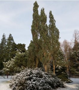 E3705D52-742A-4502-9AA5-EC0230BDC2B4.jpeg