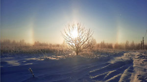гало-08.12.21.jpg