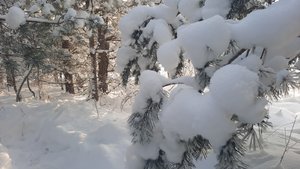 99d23c26-792b-44a1-aaa1-7157dbdffa8e.jpg