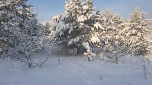 7f7c3031-df73-4d25-b61a-b90f5584cd9b.jpg