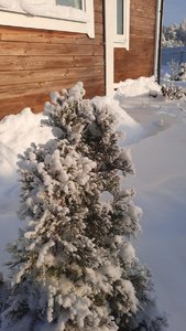 63f98430-5a20-459c-a5c5-1c86251e5840.jpg