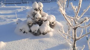 04e0bc08-0db5-4d31-b3bb-1d594ca4ef96.jpg