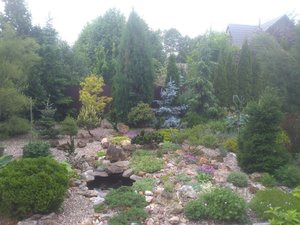 IMG_20210612_132957.jpg