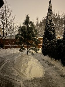 60803670-ED76-4A12-B33F-BEF2647BEDE0.jpeg