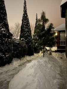 E5F41755-05AD-4DC1-B8B1-99A84EA14020.jpeg