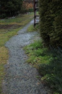 IMG_0908.JPG