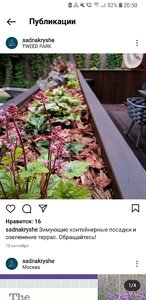 Screenshot_20211220-205004_Instagram.jpg