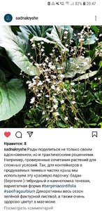 Screenshot_20211220-204748_Instagram.jpg