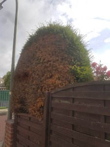 20200706_092035.jpg