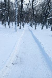 дорожка.jpg