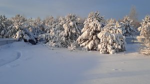 89bfa4ae-9c90-43db-8d2e-8d8a7c2b705c.jpg