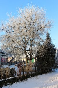 IMG_0995.JPG