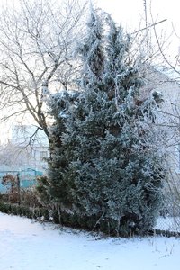 IMG_0964.JPG