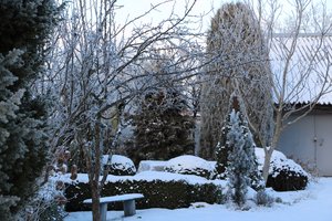 IMG_0988.JPG