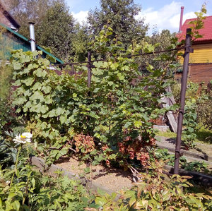 IMG_20190824_110426.jpg