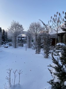 B26494FE-B424-479D-9362-2C96EF65524F.jpeg