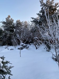 639DBAE8-20F6-44D5-9DF9-8673B37070EE.jpeg