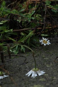 IMG_1030.JPG