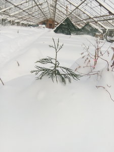IMG_20211226_123531.jpg