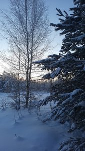 8741438b-5d99-4bdf-a54d-98ebf71af2d3.jpg