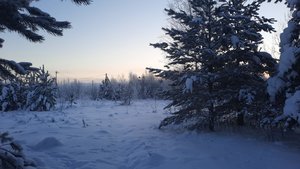 458a752e-3ff1-4f5b-9346-1ac1545c69a3.jpg