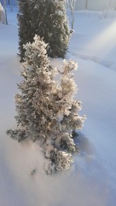 f15a3c10-0473-4567-9435-dd7da8ccf13e.jpg