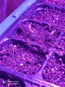 IMG_20220127_184710.jpg