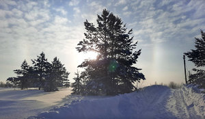 гало-03.02.22.jpg