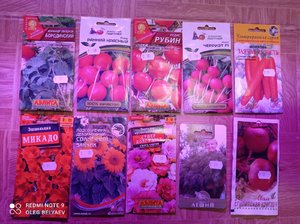 IMG_20220205_173138.jpg