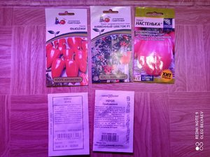 IMG_20220205_173421.jpg