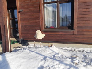 20220215_104943.jpg
