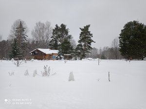 IMG_20220213_110040.jpg
