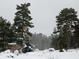 IMG_20220213_110151.jpg