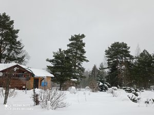 IMG_20220213_110245.jpg