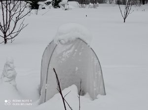 IMG_20220213_110438.jpg