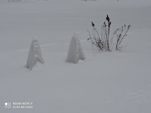 IMG_20220213_110444.jpg