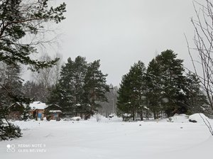 IMG_20220213_110557.jpg